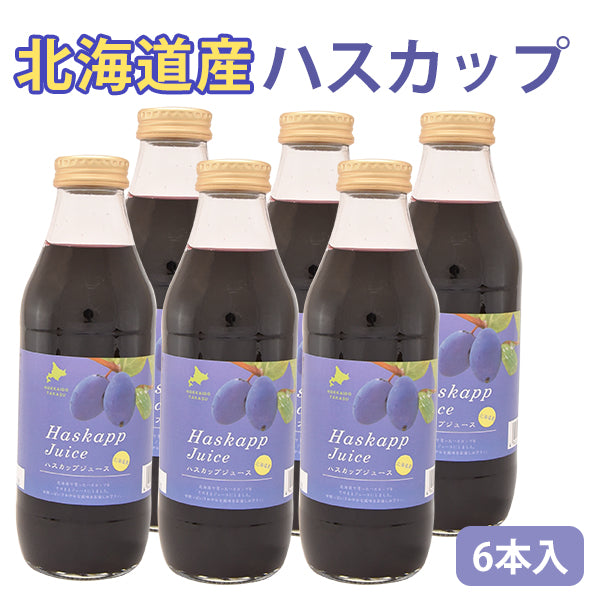 北海道産 ハスカップジュース 500ml 6本【バイオアグリたかす】