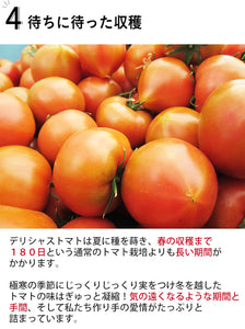 デリシャストマト トマトジュース 100g×8本セット（丸しぼり、露しずく 各4本）【玉光デリシャス】