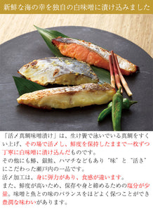 真鯛・鰆・銀鮭の讃岐白味噌漬（TSG-22260-K）【古家本舗】