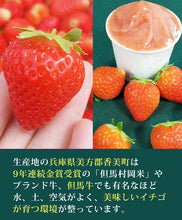 画像をギャラリービューアに読み込む, 香美苺のジェラート 6個セット(兵庫県但馬のイチゴを50％以上使用）【ユースランド】

