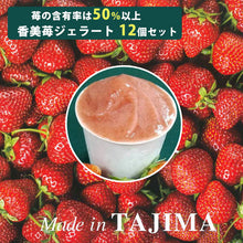 画像をギャラリービューアに読み込む, 香美苺のジェラート 12個セット(兵庫県但馬のイチゴを50％以上使用）【ユースランド】
