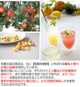 【柑橘王国】飲む酢＆食べる酢グミセット【愛媛産フルーツ】