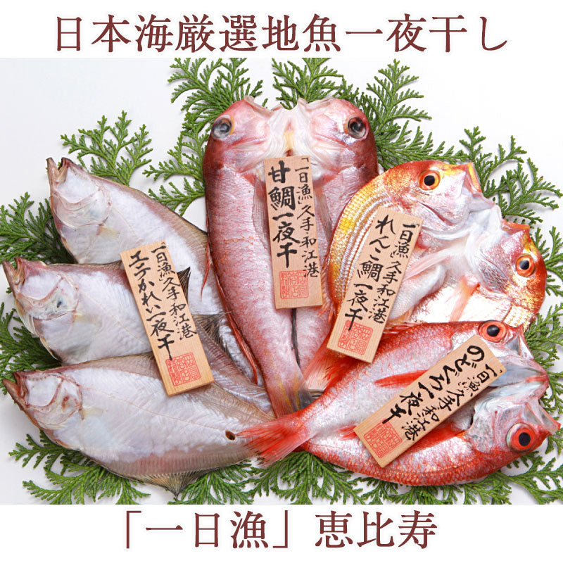 日本海厳選地魚一夜干「一日漁」恵比寿（えびす）　島根産　無添加　–　岡富商店　のどぐろ、甘鯛、れんこ鯛、かれい　ギフト　グルメロディお取り寄せグルメ　国産　-おかとみ-