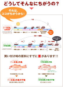 日本海とれたて干物セット 大黒（だいこく） （島根県沖） のどぐろ・あじ・白かれい 国産 島根産 無添加 岡富商店 -おかとみ- ギフト