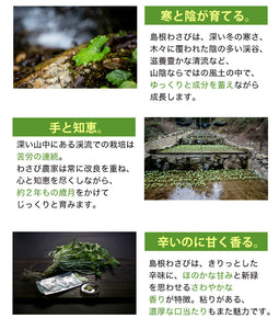 島根わさび ギフトセットA (わさび醤油漬、わさび粕漬、わさび味噌）【約2年じっくり育てたワサビ使用】【フロンティア日原】